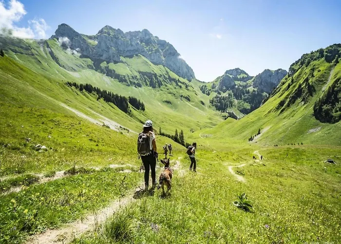Fermes For 5 People Apartmán Châtel