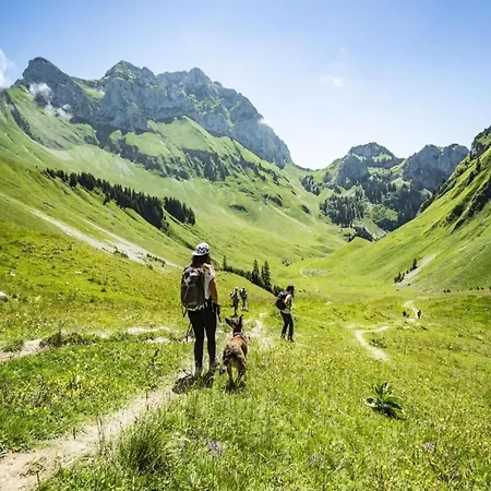Fermes For 5 People Διαμέρισμα Châtel